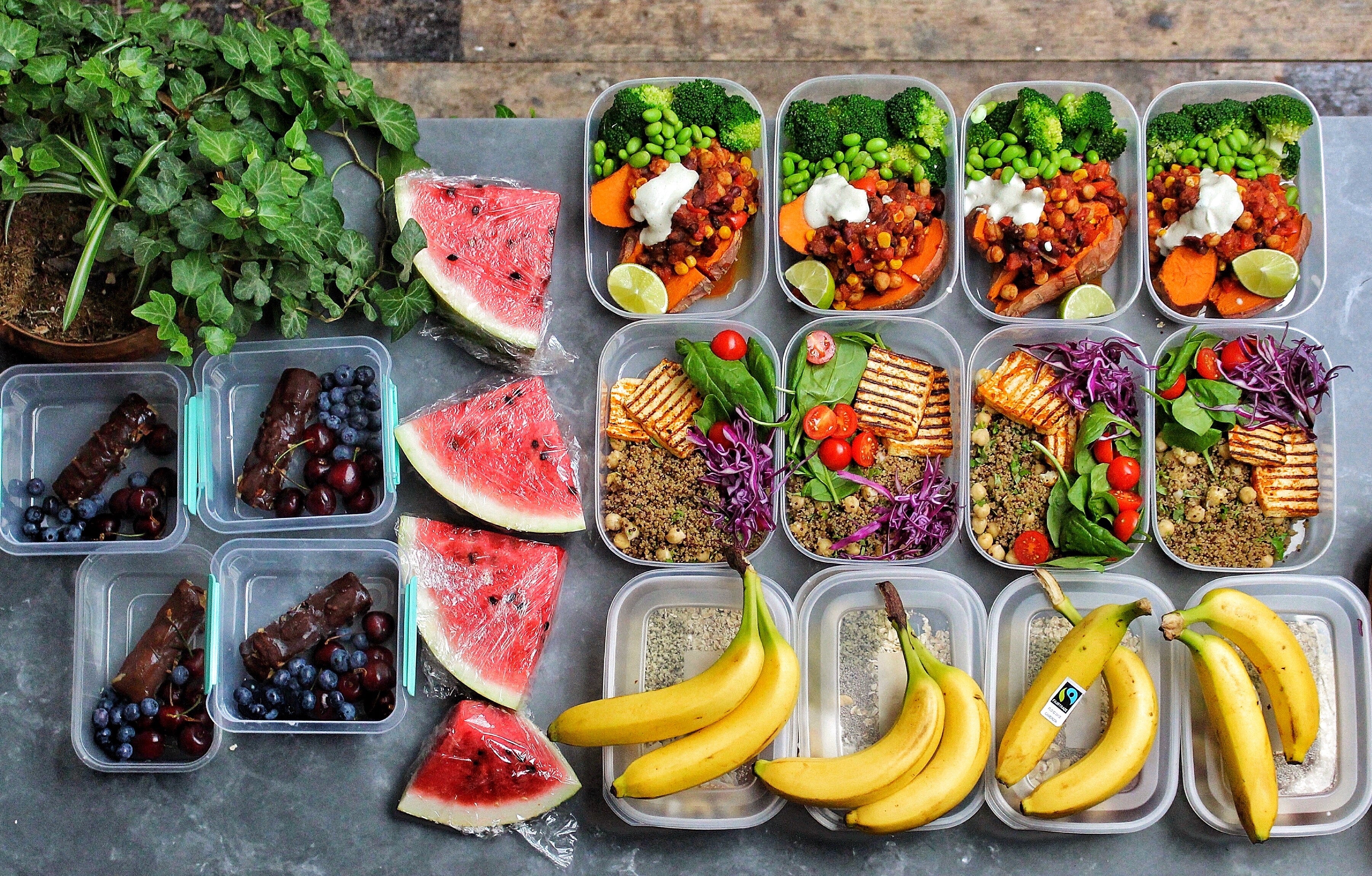 Understanding High Protein Vegetarian Diet - All You Need To Know