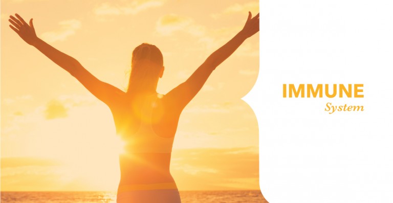 Support Your Immune System
