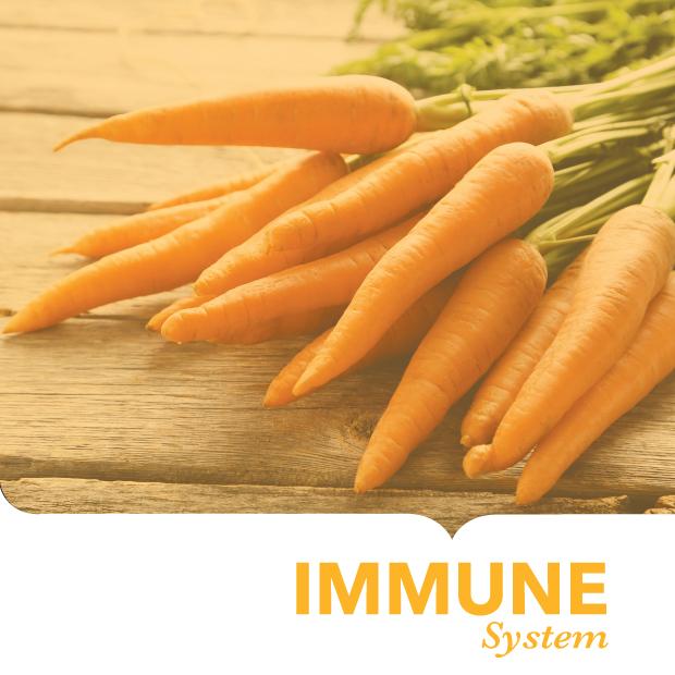Micronutrients and Immunity