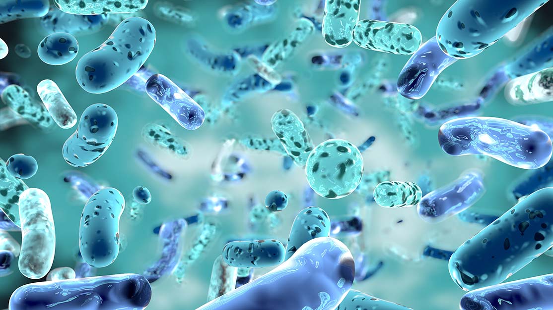 What Is A Best Synbiotic Formulation?