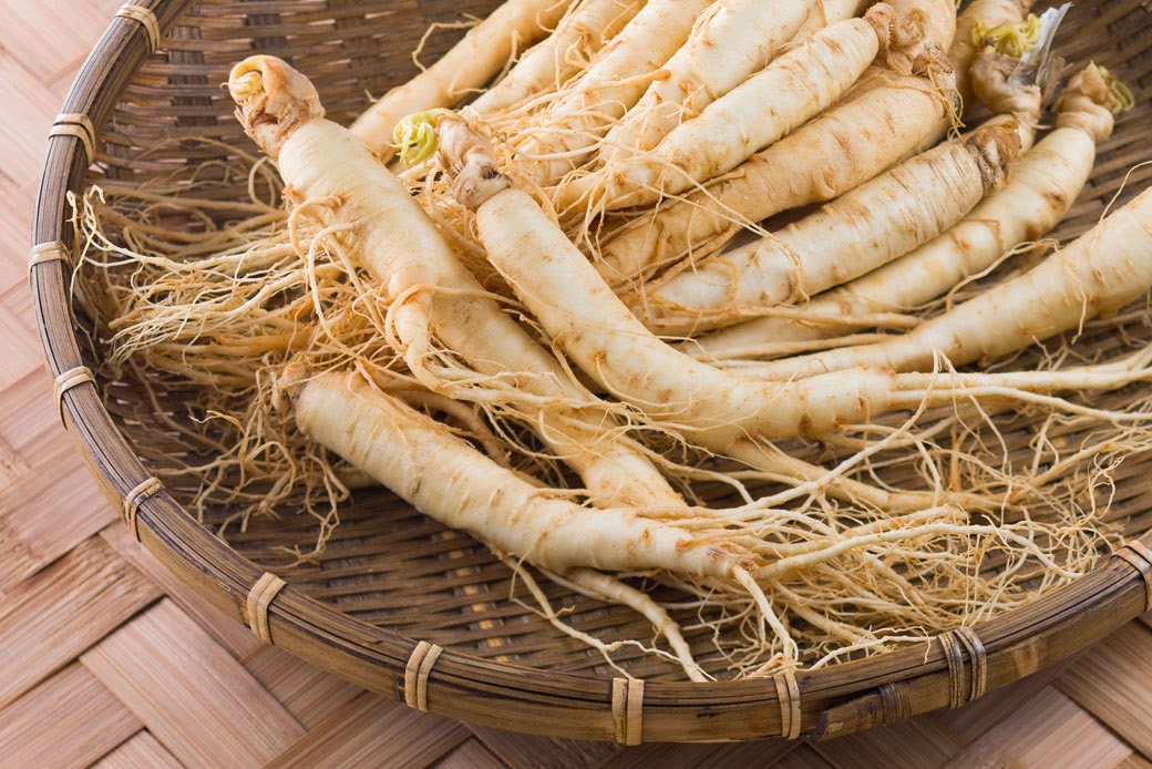 Good Green Vitality Ingredient Spotlight: The brain boosting benefits of Panax Ginseng