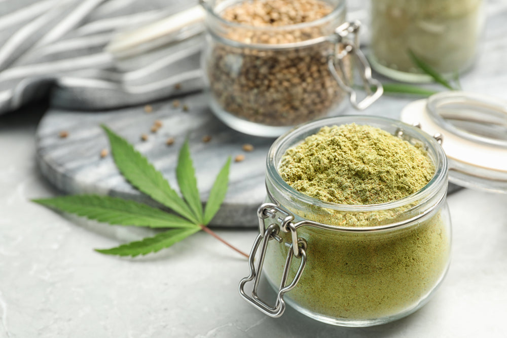 Hemp Protein or Pea Protein? Which Protein Powder Is Better?