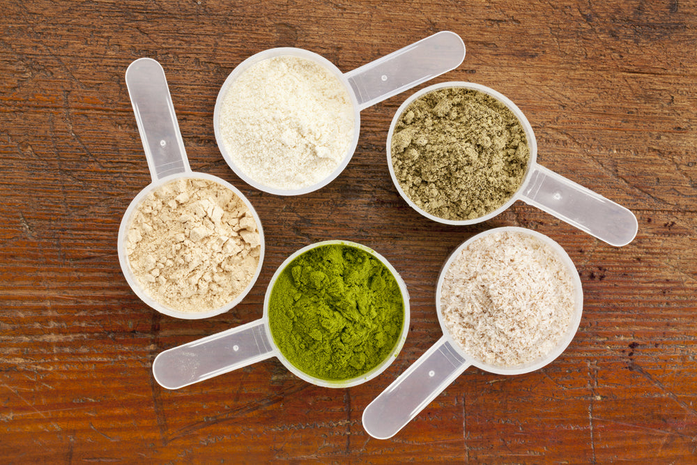Which Protein Powder is Better For You? Whey Protein or Pea Protein?