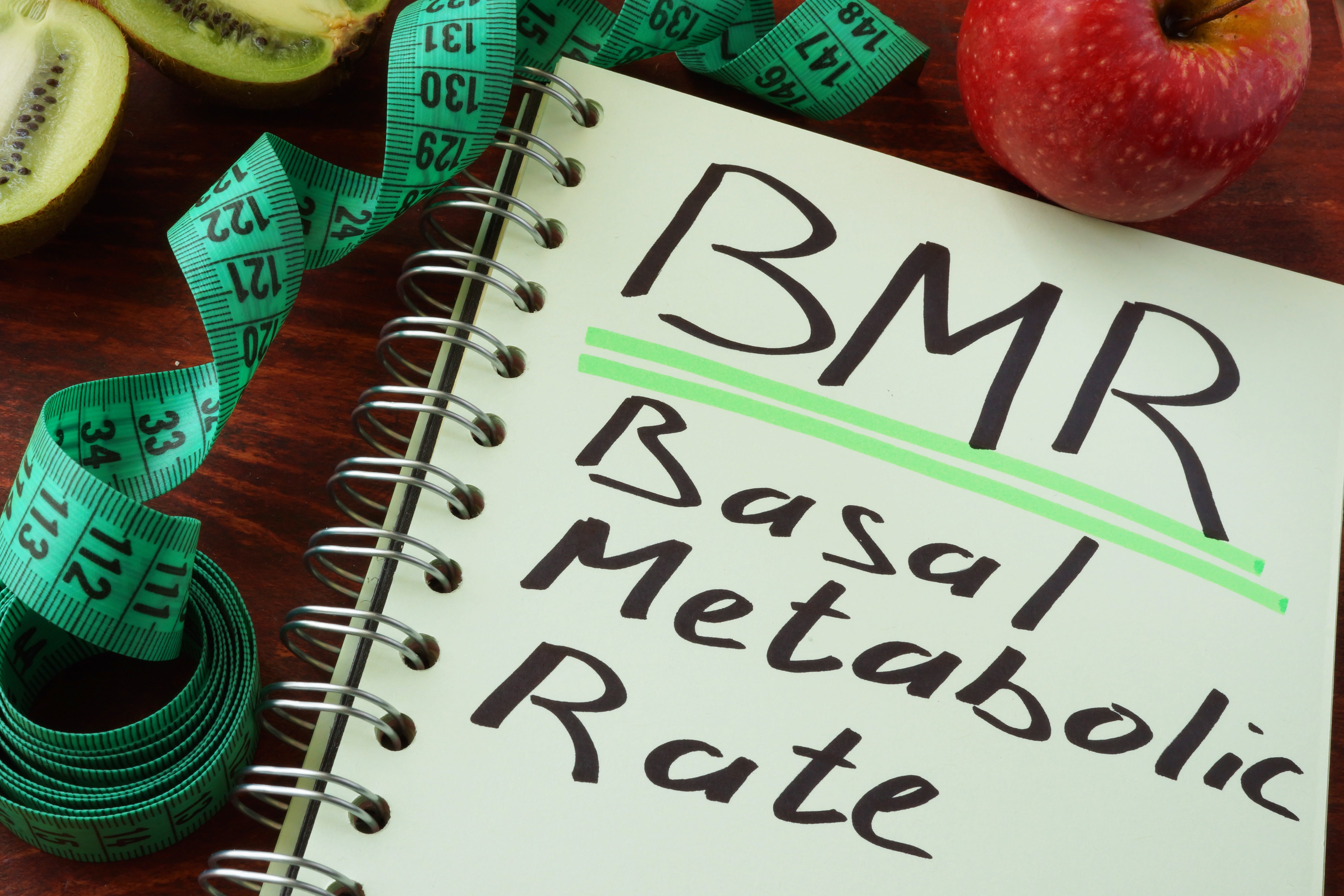 All You Need To Know About Basal Metabolic Rate